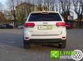 Jeep Grand Cherokee 3.0 V6 CRD 250 CV Multijet II Limited Blanc - thumbnail 7