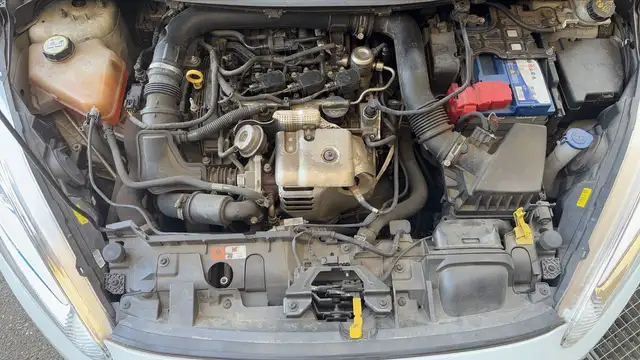 Ford Fiesta view 15