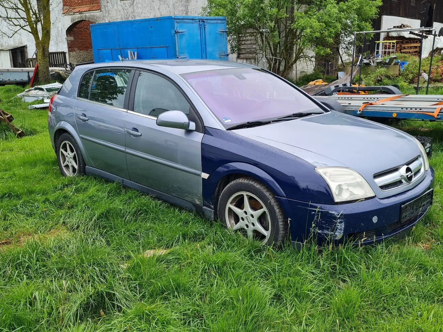 Opel Signum Sport Gris - 2