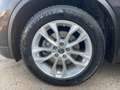 Renault Koleos 2.0 DCI Initiale Paris Schwarz - thumbnail 14