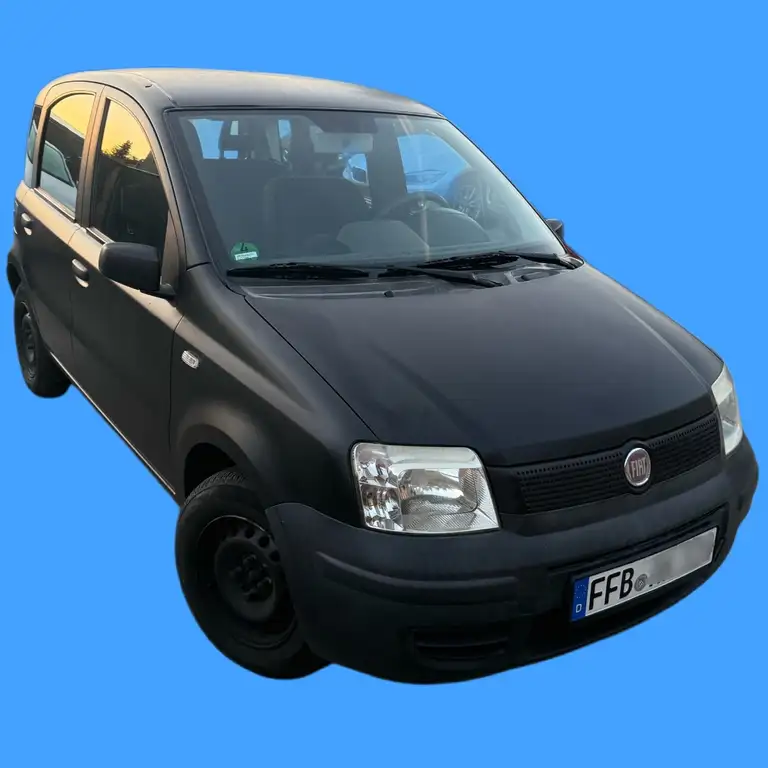 Fiat Panda 2009 из Европы — купить под ключ