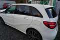 Mercedes-Benz B 200 B 200 CDI / d 4Matic (246.202) Weiß - thumbnail 3