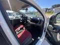 Fiat Panda 13 mjt 16v 4x4 75cv PREZZO+IVA 4 UNITA' DISPONIBIL Bianco - thumbnail 13
