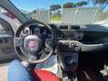 Fiat Panda 13 mjt 16v 4x4 75cv PREZZO+IVA 4 UNITA' DISPONIBIL Bianco - thumbnail 9