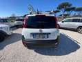 Fiat Panda 13 mjt 16v 4x4 75cv PREZZO+IVA 4 UNITA' DISPONIBIL Bianco - thumbnail 4