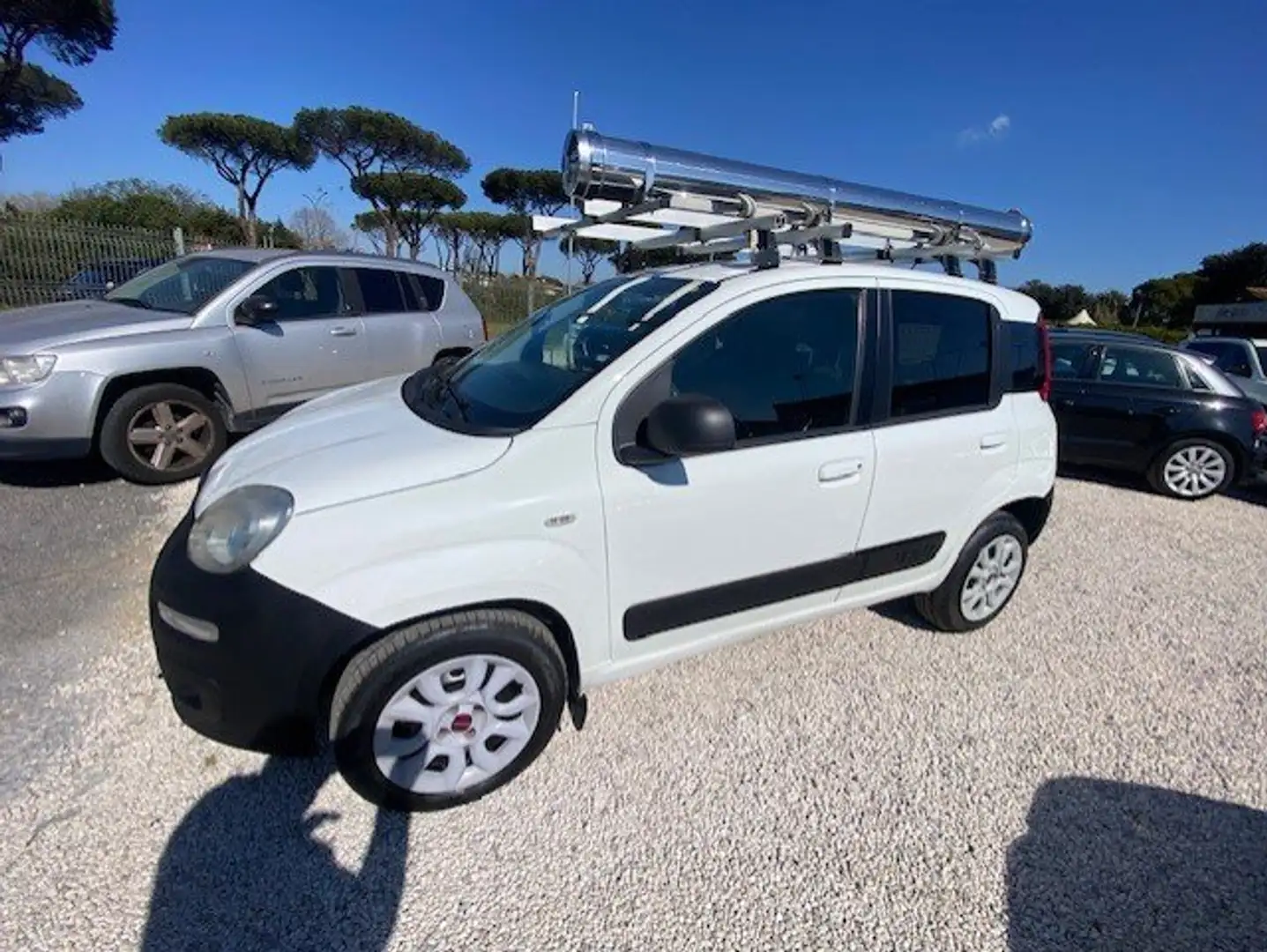 Fiat Panda 13 mjt 16v 4x4 75cv PREZZO+IVA 4 UNITA' DISPONIBIL Bianco - 2