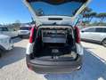 Fiat Panda 13 mjt 16v 4x4 75cv PREZZO+IVA 4 UNITA' DISPONIBIL Bianco - thumbnail 15