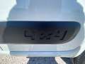 Fiat Panda 13 mjt 16v 4x4 75cv PREZZO+IVA 4 UNITA' DISPONIBIL Bianco - thumbnail 5