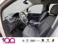 Volkswagen Caddy 1.0 TSI Trendline 5-Sitzer+KLIMA+AHK Weiß - thumbnail 8