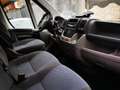 Fiat Ducato Alb - thumbnail 6