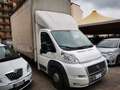Fiat Ducato Alb - thumbnail 1