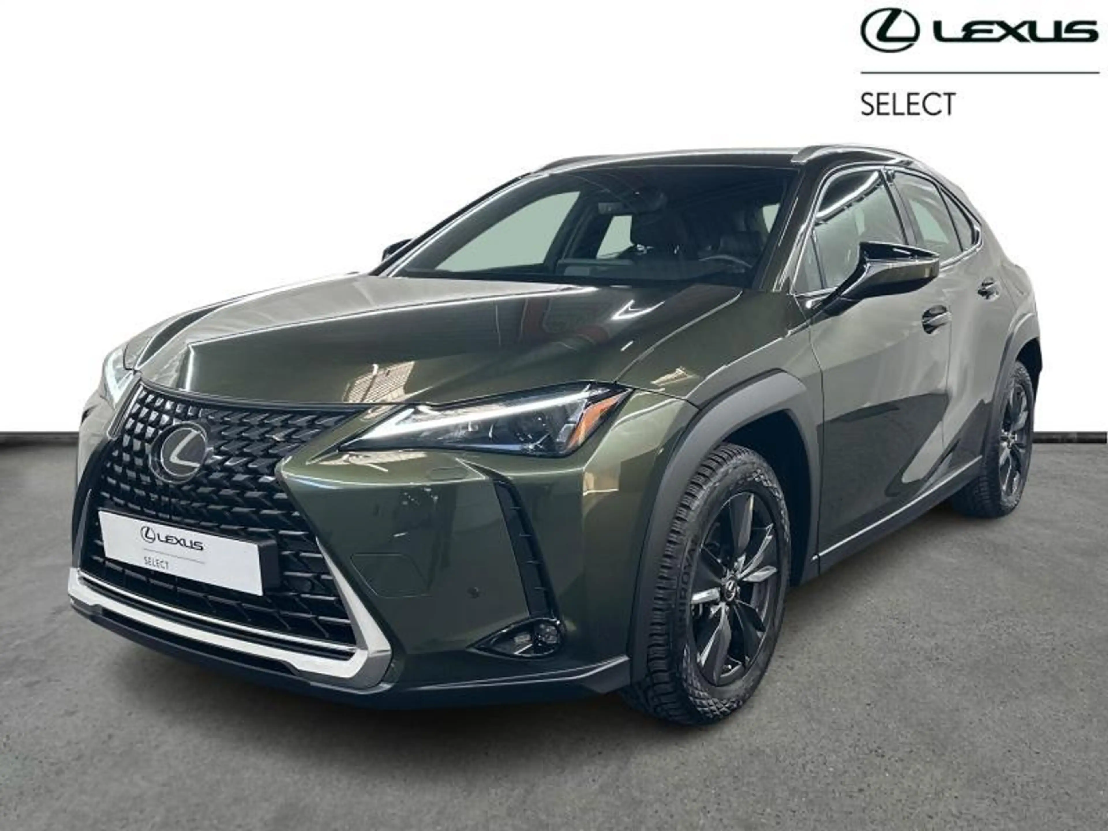 Lexus UX 250h Business Line 2WD