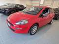 Fiat Punto 1.4 8V 3 porte Easypower Street Rosso - thumbnail 5