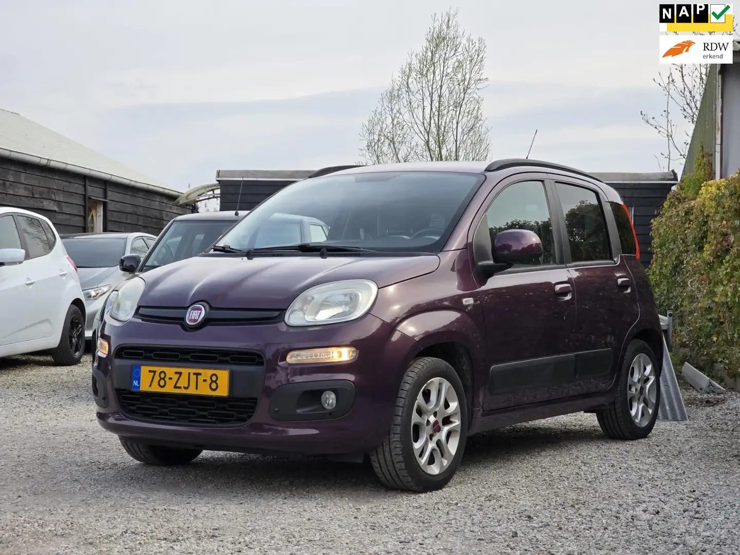 Fiat Panda 0.9 TwinAir Sempre Airco/Trekhaak Violet - 1