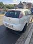 Fiat Punto 1.3 MultiJet Easy - thumbnail 4