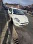 Fiat Punto 1.3 MultiJet Easy - thumbnail 2