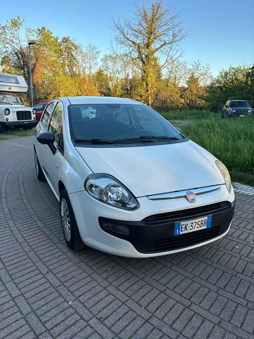 Fiat Punto 5p 1.2 Active Bianco - 2