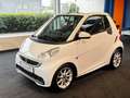smart forTwo fortwo cabrio *SHZ*KLIMA*LEDER* Weiß - thumbnail 5