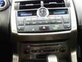 Lexus NX 300h 2.5 Executive 4WD Tecno Weiß - thumbnail 17