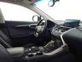 Lexus NX 300h 2.5 Executive 4WD Tecno Weiß - thumbnail 6