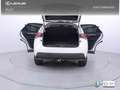 Lexus NX 300h 2.5 Executive 4WD Tecno Weiß - thumbnail 12