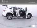 Lexus NX 300h 2.5 Executive 4WD Tecno Weiß - thumbnail 22