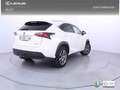 Lexus NX 300h 2.5 Executive 4WD Tecno Weiß - thumbnail 20
