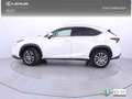 Lexus NX 300h 2.5 Executive 4WD Tecno Weiß - thumbnail 3