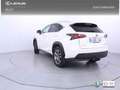 Lexus NX 300h 2.5 Executive 4WD Tecno Weiß - thumbnail 2
