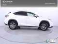 Lexus NX 300h 2.5 Executive 4WD Tecno Weiß - thumbnail 19