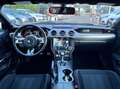 Ford Mustang Fastback 2.3 ecoboost 317cv Grigio - thumbnail 10