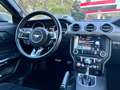 Ford Mustang Fastback 2.3 ecoboost 317cv Grigio - thumbnail 11