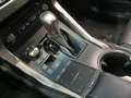 Lexus NX 300 300h Executive Navigation 4WD Wit - thumbnail 13