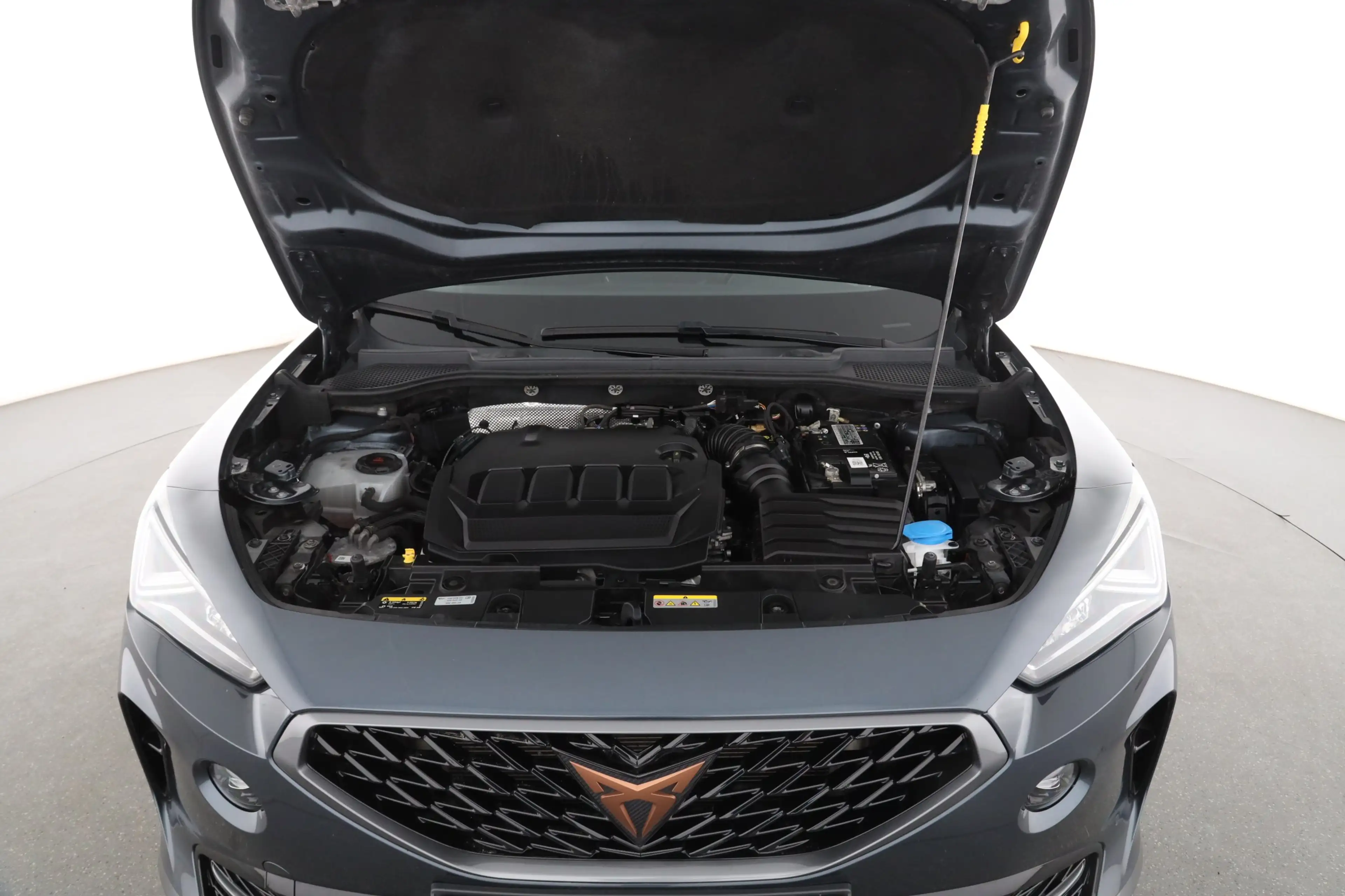 CUPRA Formentor 2.0 TDI DSG 4Drive | NAVI | SITZH. | — photo 9