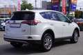 Toyota RAV 4 RAV4 2.5 Hybrid Executive LED Navi AHK 360° DAB Blanc - thumbnail 6