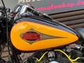 Harley-Davidson FLSTC Heritage Classic *TwoTone, Vergaser* Чёрный - thumbnail 14