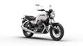 Moto Guzzi V 7 SPECIAL Blanco - thumbnail 12