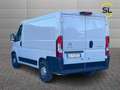 Citroen Jumper Jumper 30 BlueHDi 140 S&S PC-TN Furgone Bianco - thumbnail 4