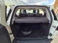 Ford EcoSport 1.5 110 CV Titanium Weiß - thumbnail 19