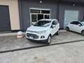 Ford EcoSport 1.5 110 CV Titanium Bianco - thumbnail 4