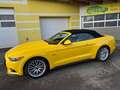 Ford Mustang Convertible GT 5.0 V8 - nur 20600km TOP!! Gelb - thumbnail 26
