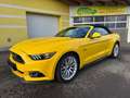 Ford Mustang Convertible GT 5.0 V8 - nur 20600km TOP!! Gelb - thumbnail 25