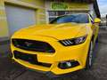 Ford Mustang Convertible GT 5.0 V8 - nur 20600km TOP!! Gelb - thumbnail 27