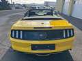 Ford Mustang Convertible GT 5.0 V8 - nur 20600km TOP!! Gelb - thumbnail 4