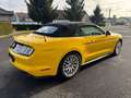 Ford Mustang Convertible GT 5.0 V8 - nur 20600km TOP!! Gelb - thumbnail 29