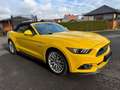 Ford Mustang Convertible GT 5.0 V8 - nur 20600km TOP!! Gelb - thumbnail 28