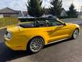 Ford Mustang Convertible GT 5.0 V8 - nur 20600km TOP!! Jaune - thumbnail 3