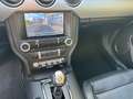 Ford Mustang Convertible GT 5.0 V8 - nur 20600km TOP!! Gelb - thumbnail 10