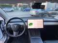 Tesla Model 3 Model 3 Standard rwd Plus Blanco - thumbnail 11