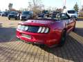 Ford Mustang GT Convertible 5.0 V8 Autm. Sitzklima Rot - thumbnail 5